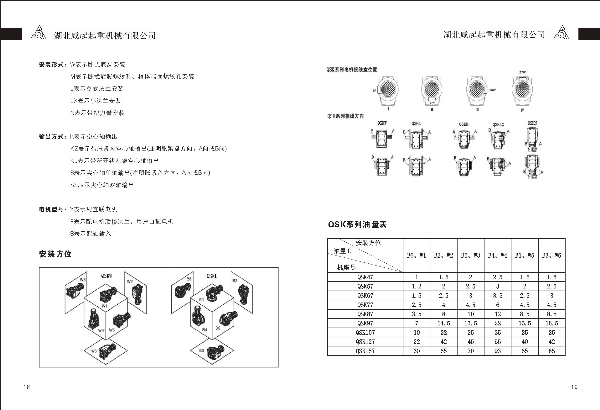QSK系列减速机油量表