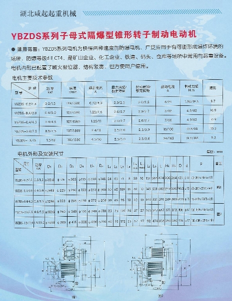 YBZDS系列子母式隔爆型锥形转子
